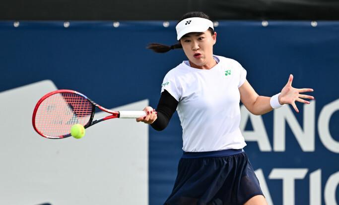 数月的阴影 数月的阴影