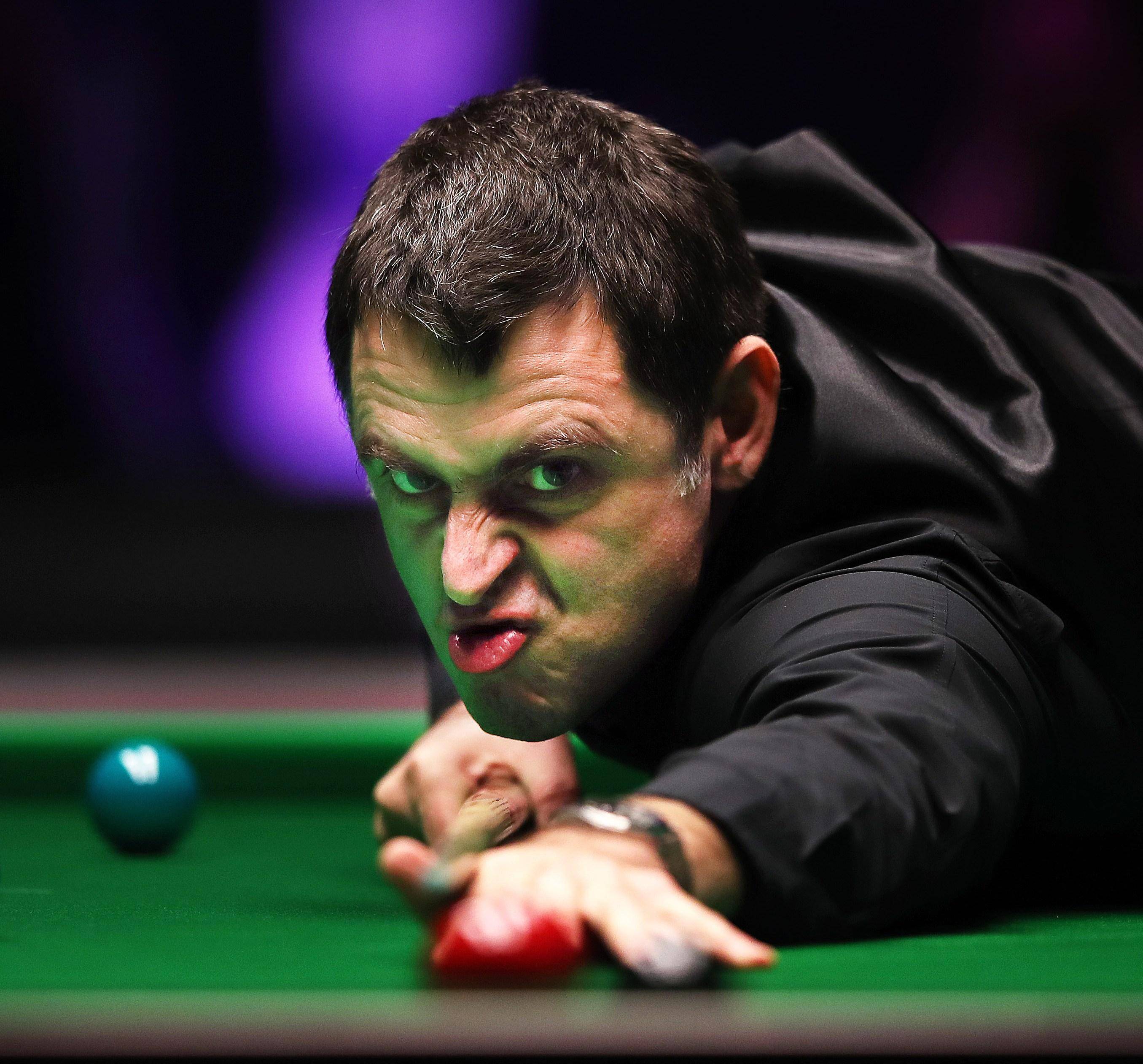 队在选手培 队在选手培