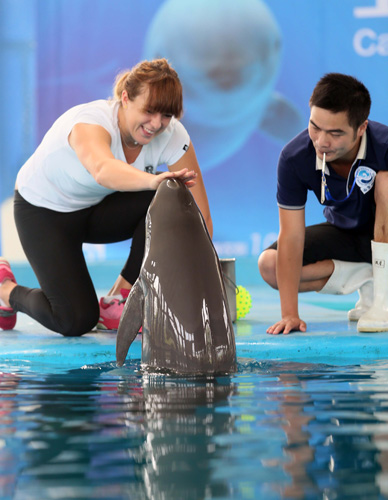 的中坚力量 的中坚力量